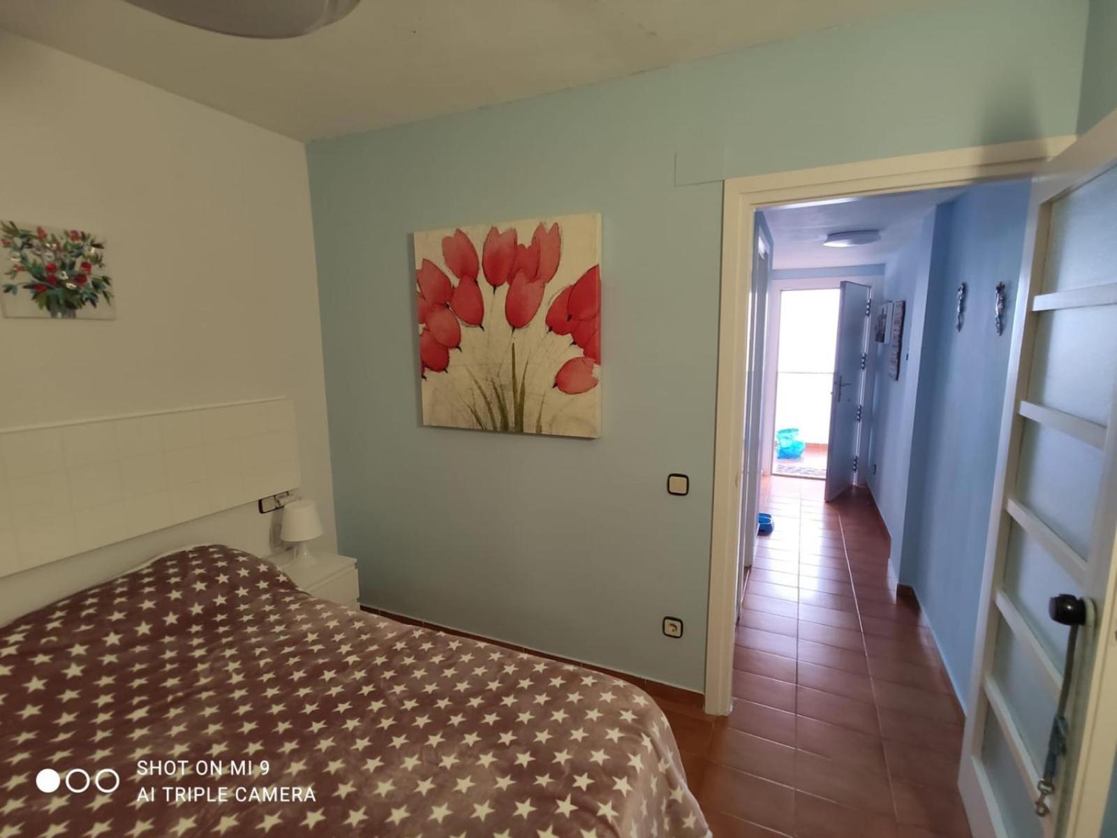Apartamento Tossa Tossa de Mar Exteriör bild